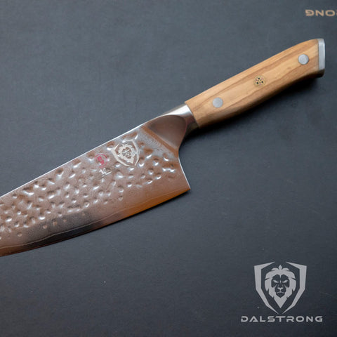 Dalstrong Shogun estuche incluido para transporte y protección