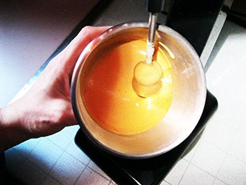 Difora dos velocidades para ajustar batidos y cappuccinos