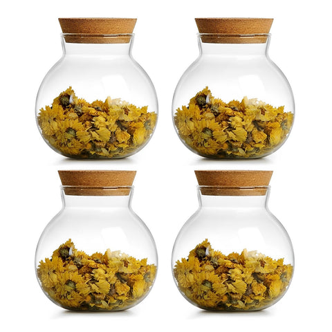 Frasco de cristal DNIENKGE con tapa de corcho, conservación de alimentos fresca.