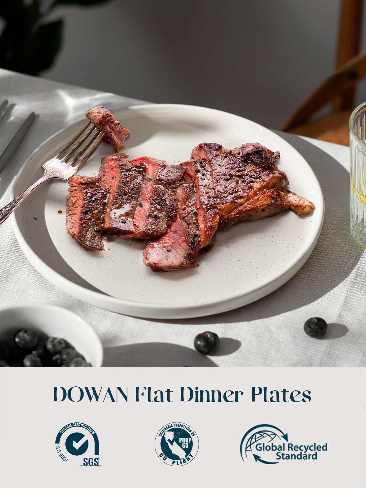 Dowan juego de platos blancos de 6 piezas: estilo sencillo para uso diario y eventos.