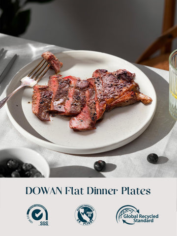 Dowan juego de platos blancos de 6 piezas: estilo sencillo para uso diario y eventos.