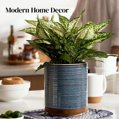 DOWAN regalo práctico cocina, regalo ideal para amantes de la cocina