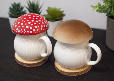 Dreamstall tapa hongo shiitake detalle, regalo con estética campestre