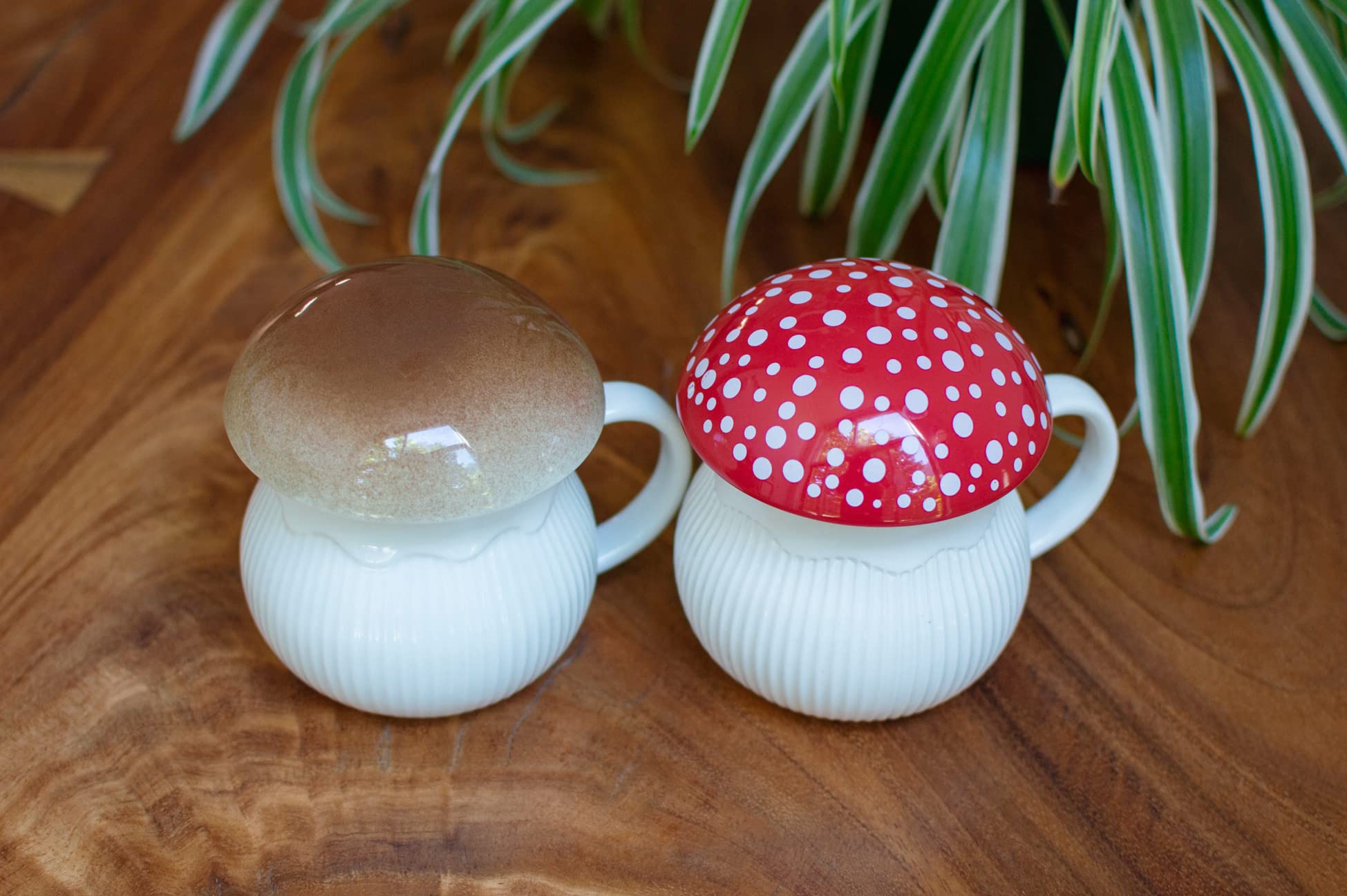 Dreamstall taza-seta para café o té en casa, oficina o dormitorio