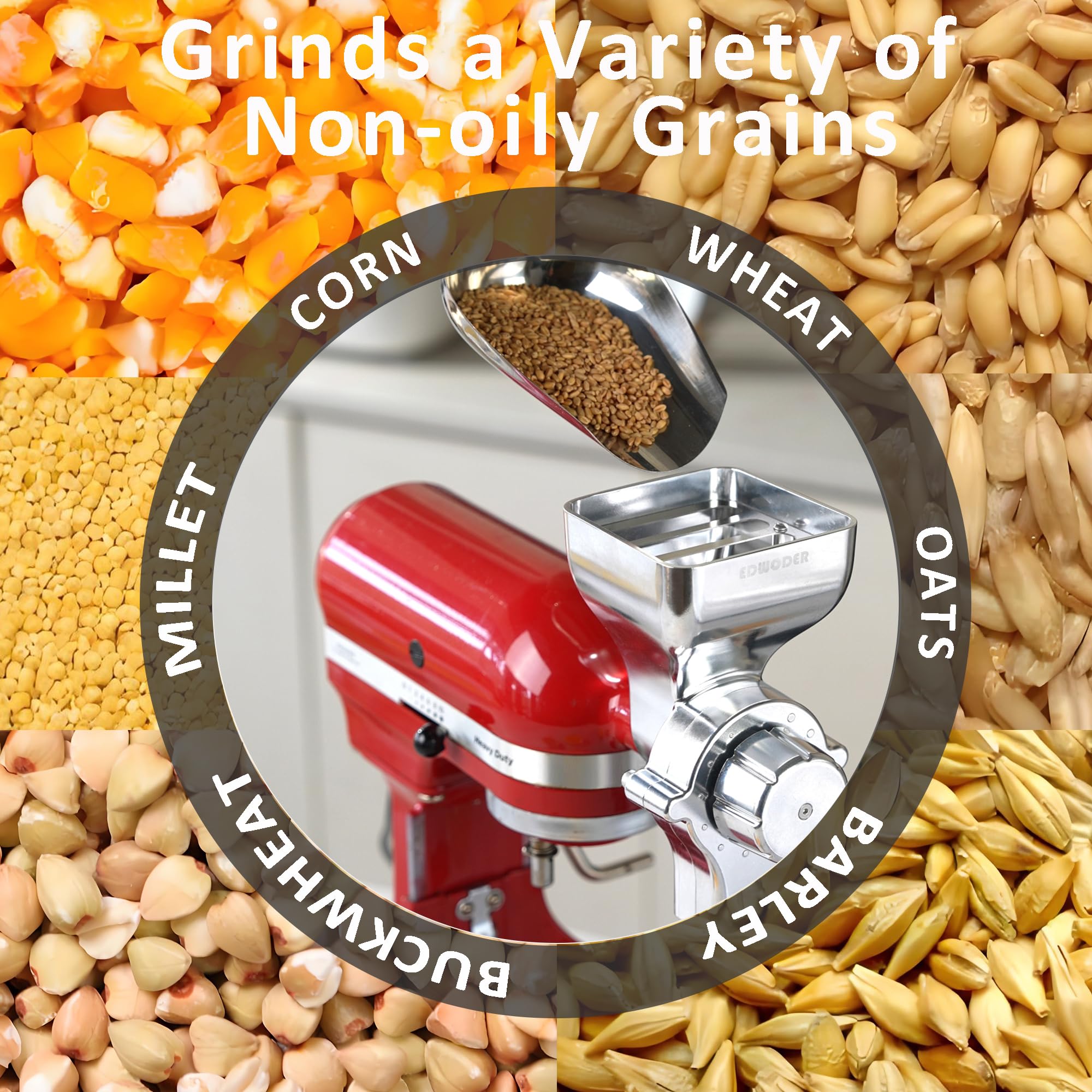 EDWODER variedad de granos secos para moler, opción versátil para cereales