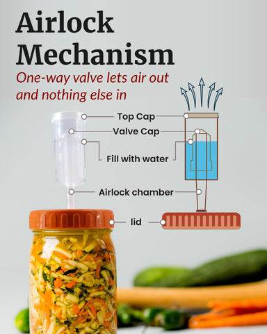Elementi sistema de aire para fermentación estable en casa.