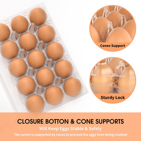 EVANCENT dimensiones-carton-huevos-7-8x5-7x2-8-pulgadas permiten almacenamiento compacto.