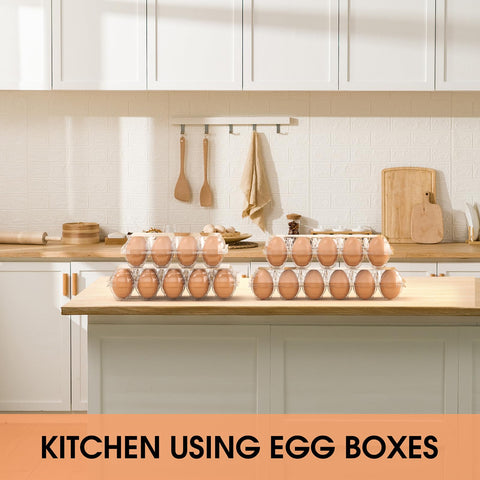EVANCENT visualizacion-huevos-frescos facilita ver el estado sin abrir la caja.