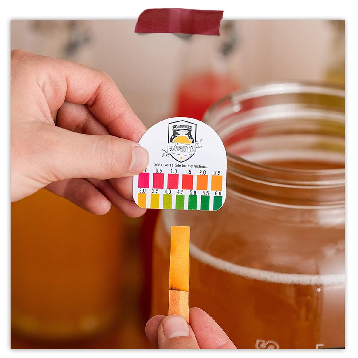 Fermentaholics banda elástica para asegurar la tapa y sello.