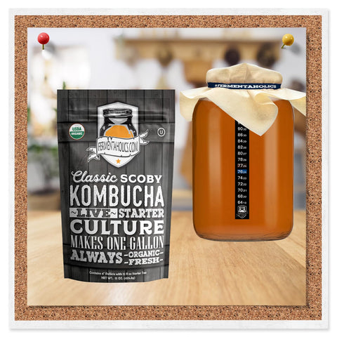 Fermentaholics SCOBY orgánico certificado para iniciar la fermentación.
