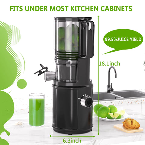 Floisdace exprimidor 350W rendimiento duradero para verduras duras como col rizada y remolacha.