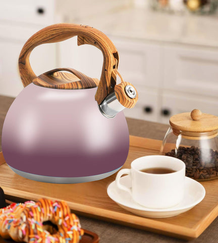 Tetera Foedo para uso en cocinas variadas, hervir agua de forma eficiente.