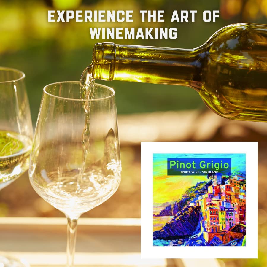 Fontana Pinot Grigio Kit: proceso de elaboración casero y personalizado.