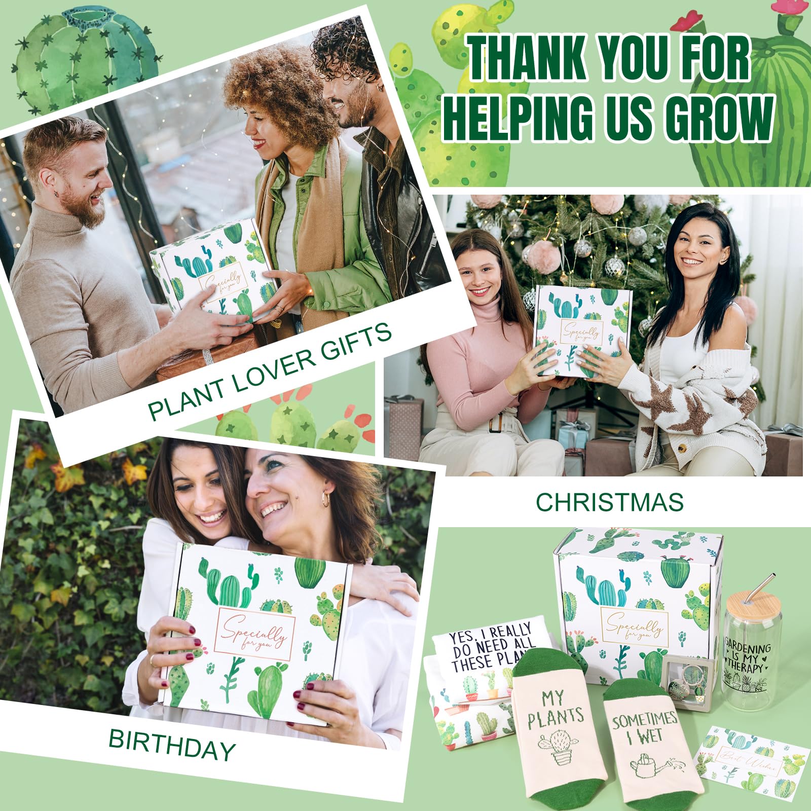 Frerdui conjunto regalo plantas listo para regalar