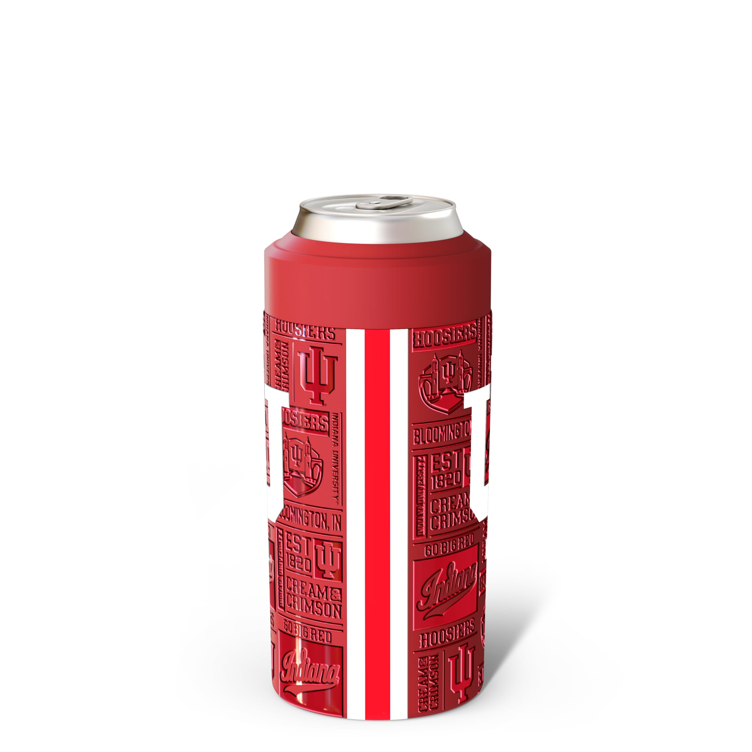 Frost Buddy enfriador universal para lata 16oz, ideal para picnics y paseos.