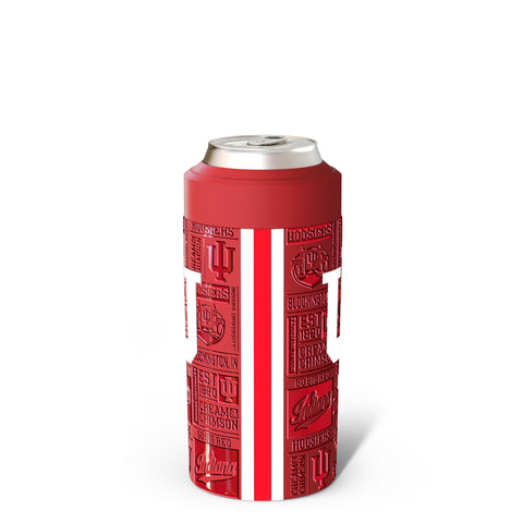 Frost Buddy enfriador universal para lata 16oz, ideal para picnics y paseos.