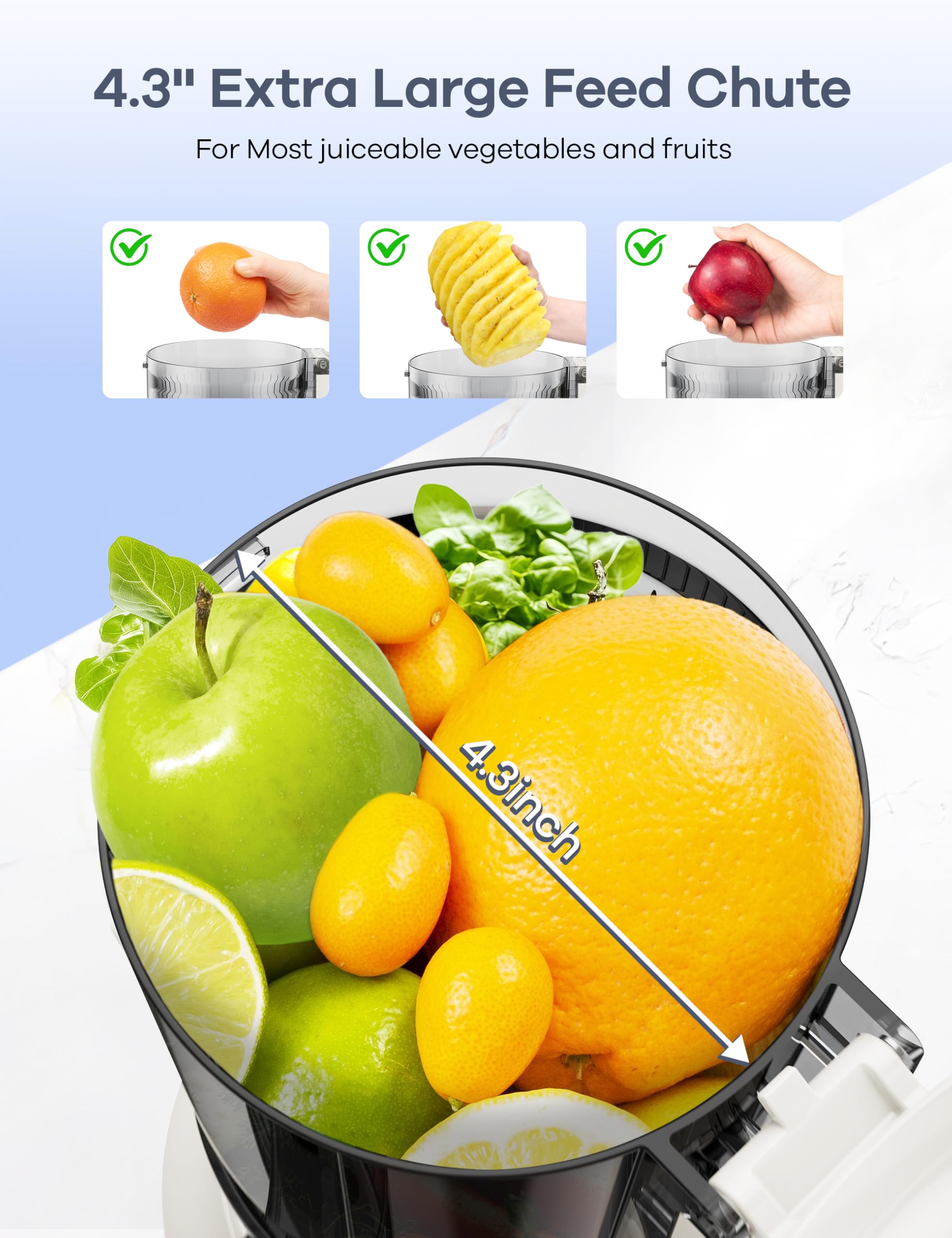 Ganiza filtros desmontables para jugos óptimos de frutas fibrosas y verduras.