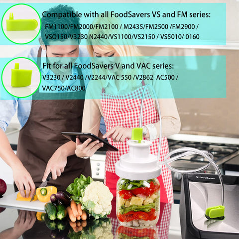 FoodSaver: compatible con varios modelos si el conector es adecuado