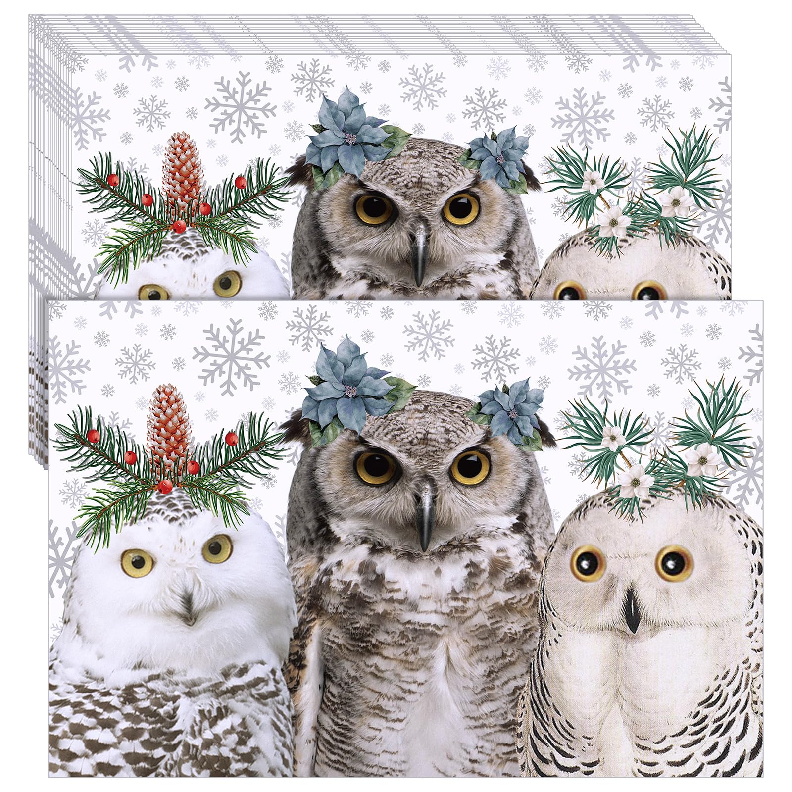 Manteles individuales Geyoga con buhos de invierno en diseño dibujado a mano para mesa.