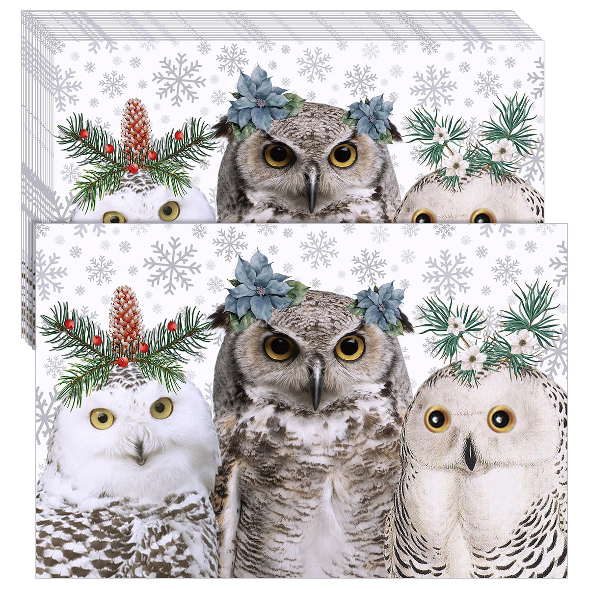 Manteles individuales Geyoga con buhos de invierno en diseño dibujado a mano para mesa.