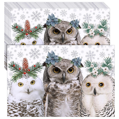 Manteles individuales Geyoga con buhos de invierno en diseño dibujado a mano para mesa.