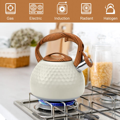 Ideal para preparar té y café o leche caliente en minutos.