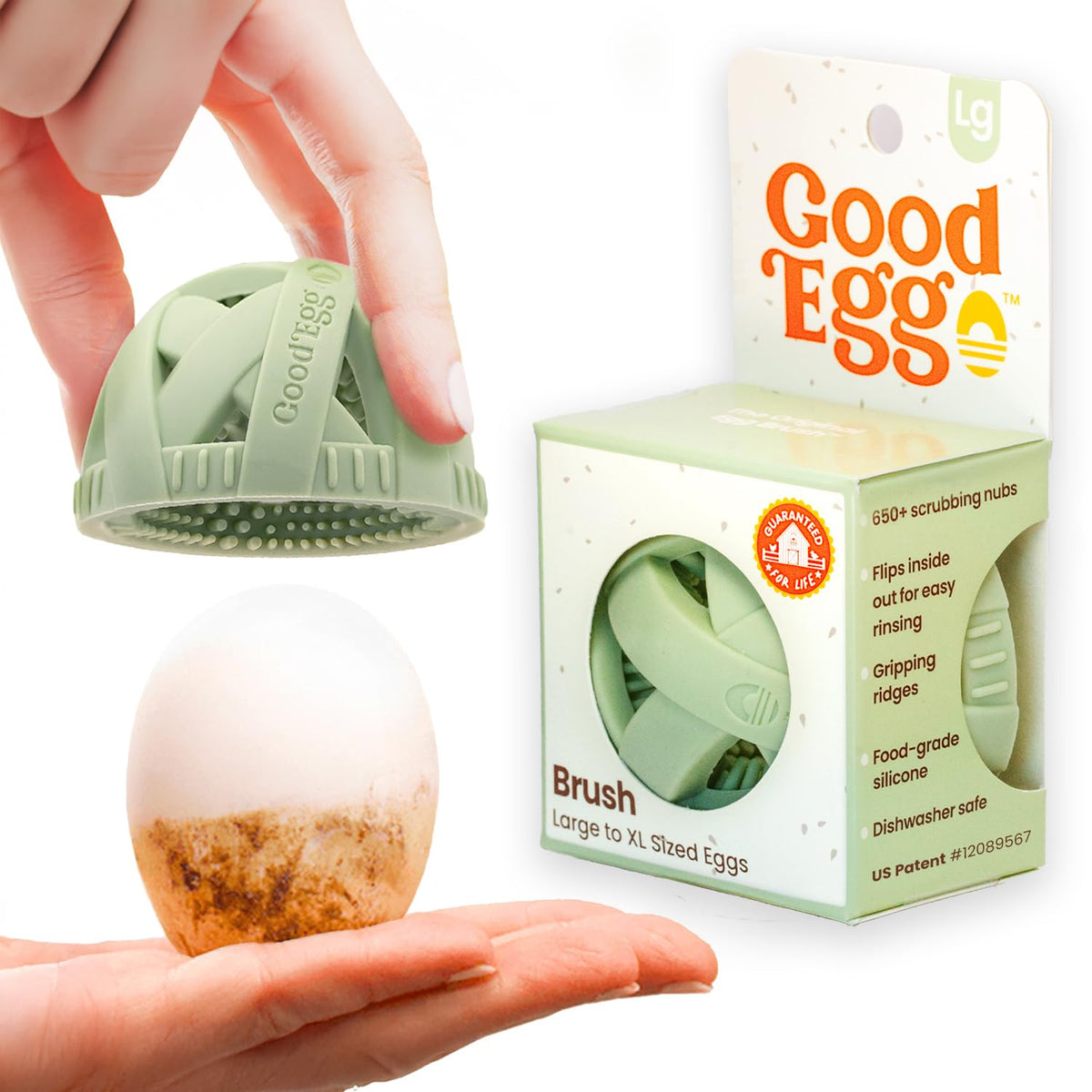 GoodEgg Cepillo Original para Huevos: frente enfocado para limpieza suave de huevos frescos.