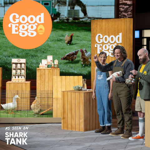 GoodEgg Cepillo Original, visto en Shark Tank, inspiración de diseño práctico.