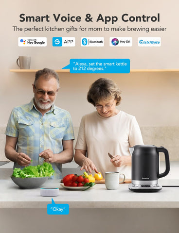 GoveeLife control por voz con Alexa y Asistente de Google