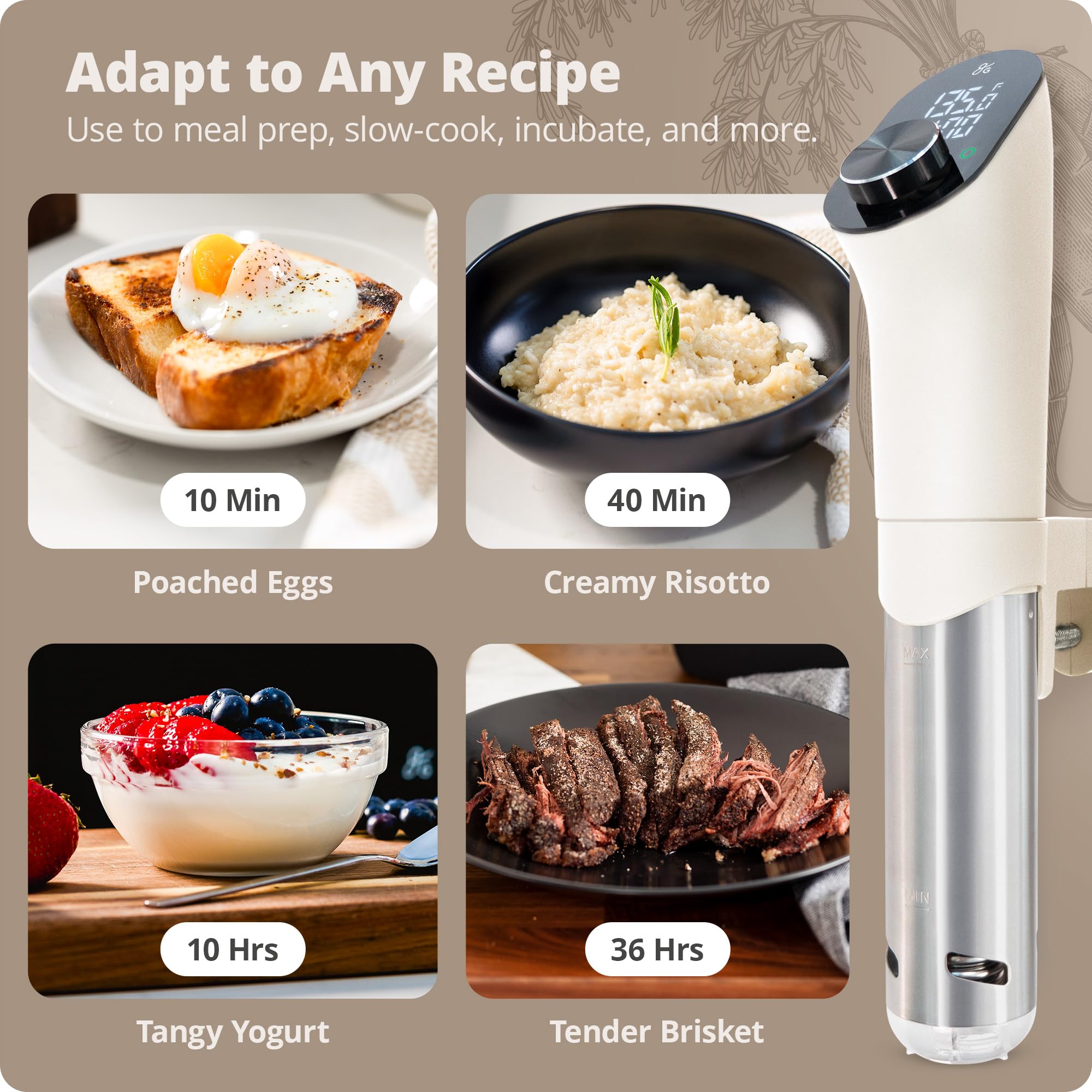 Greater Goods Sous Vide: rango de temperatura amplio para múltiples recetas.