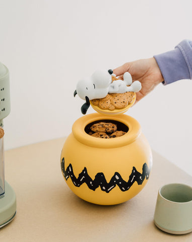 Tapa con Snoopy, toque lúdico que añade encanto al almacenamiento.
