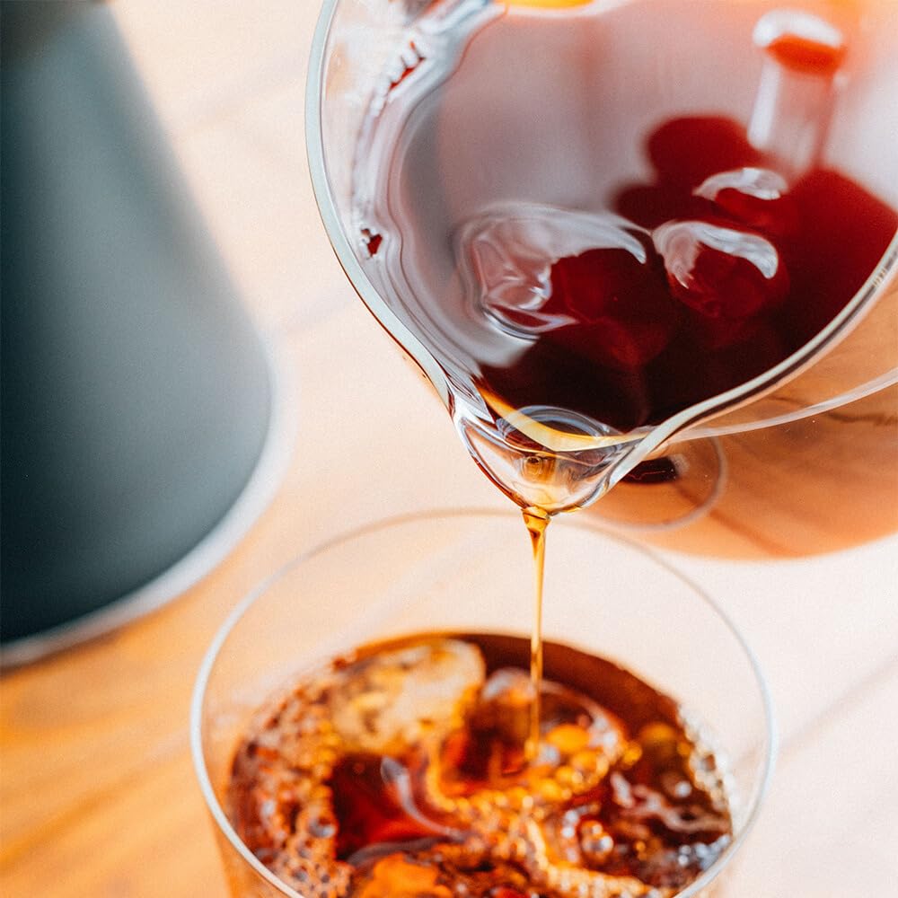 Hario V60 Barista Server 600 vidrio resistente al calor para durabilidad