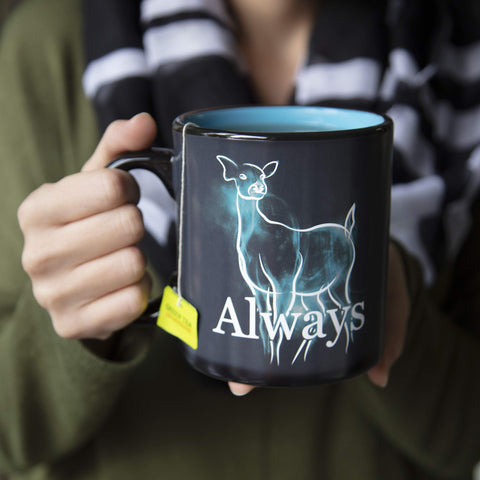 Taza Harry Potter lavado a mano recomendado, no apta para microondas
