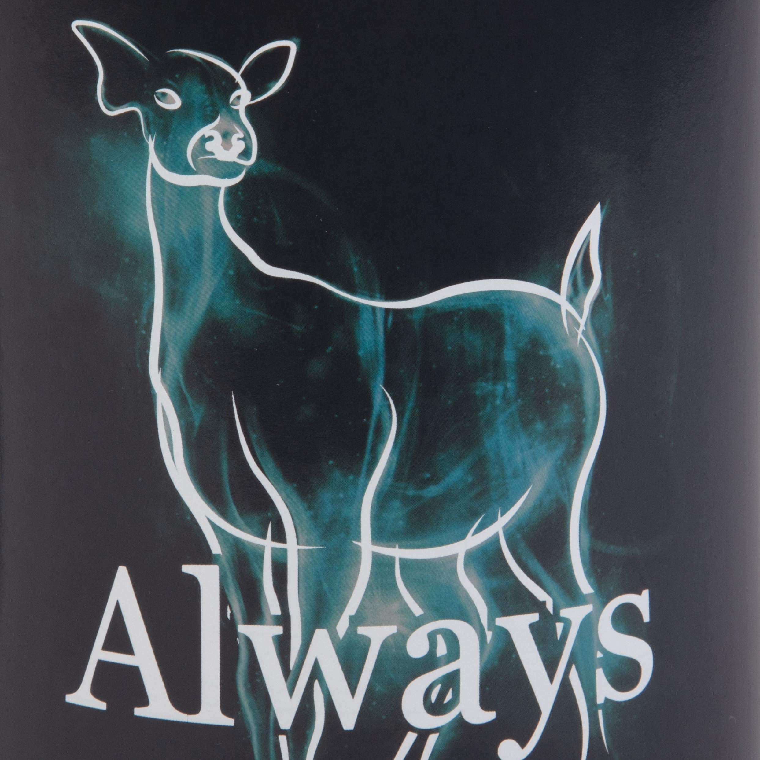 Taza Harry Potter regalo para fans, ideal para fiestas y cumpleaños