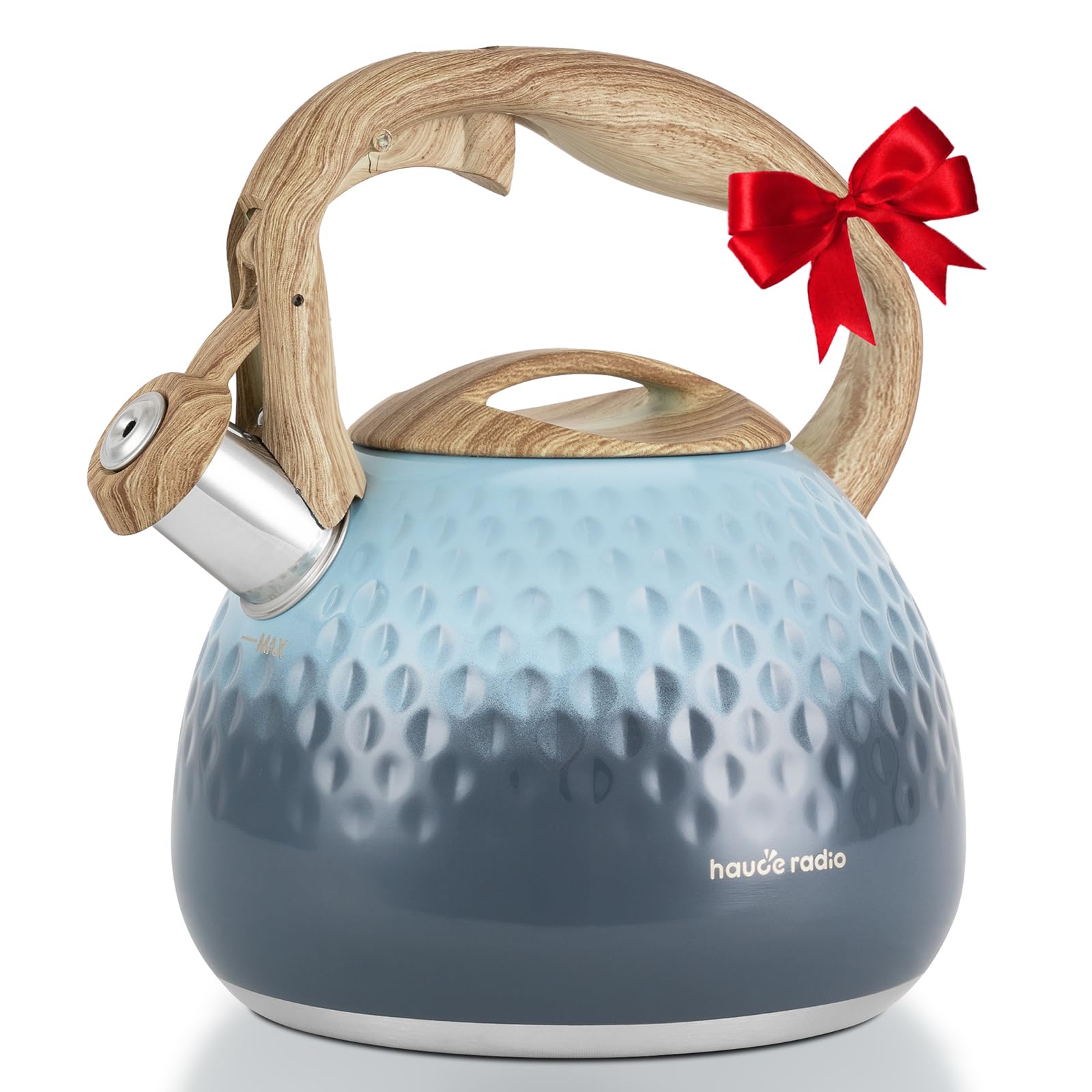 Hauce Radio hervidor de alta capacidad, ideal para reuniones y servir varias tazas.