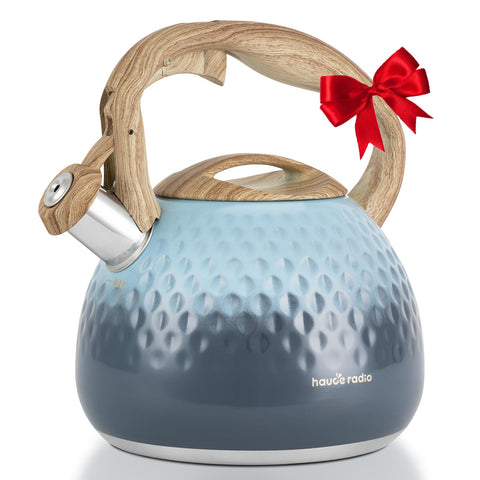 Hauce Radio hervidor de alta capacidad, ideal para reuniones y servir varias tazas.