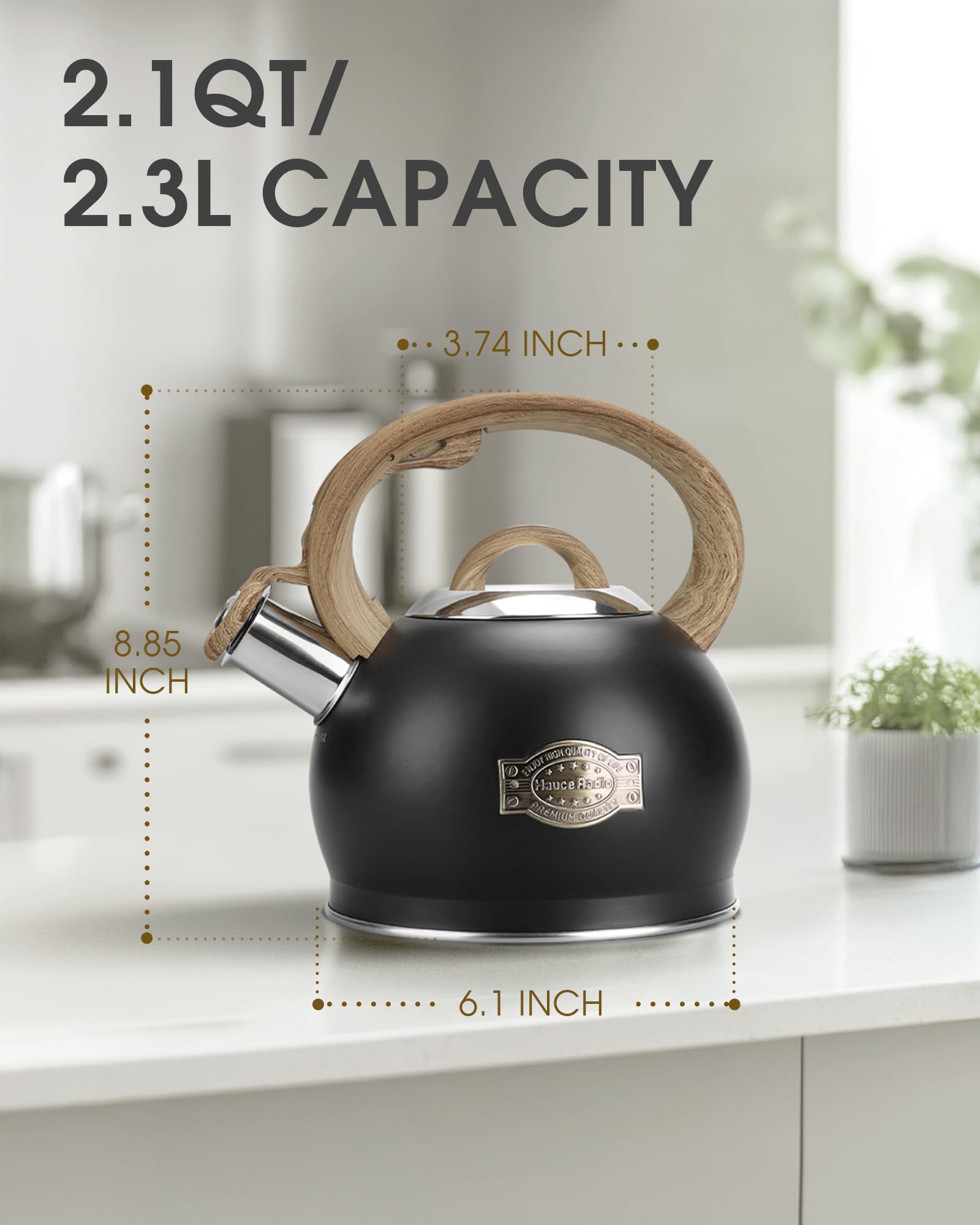 Hauce Radio cuerpo de acero compatible con gas, eléctrico e inducción