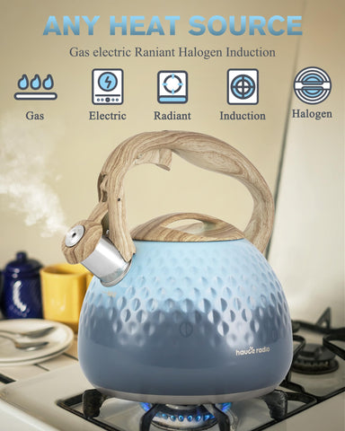 Hauce Radio hervidor con tapa ajustada que mantiene el vapor para hervir más rápido.