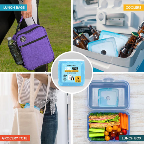 Healthy Packers: compresas de hielo compactas para loncheras, ideales para almuerzo escolar