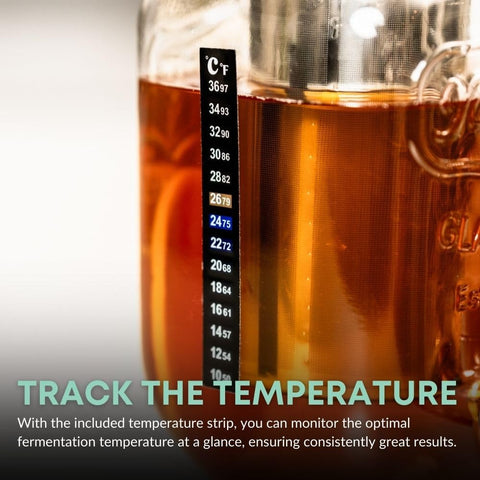 Hemlock frasco de cristal sin plomo para fermentación estable.