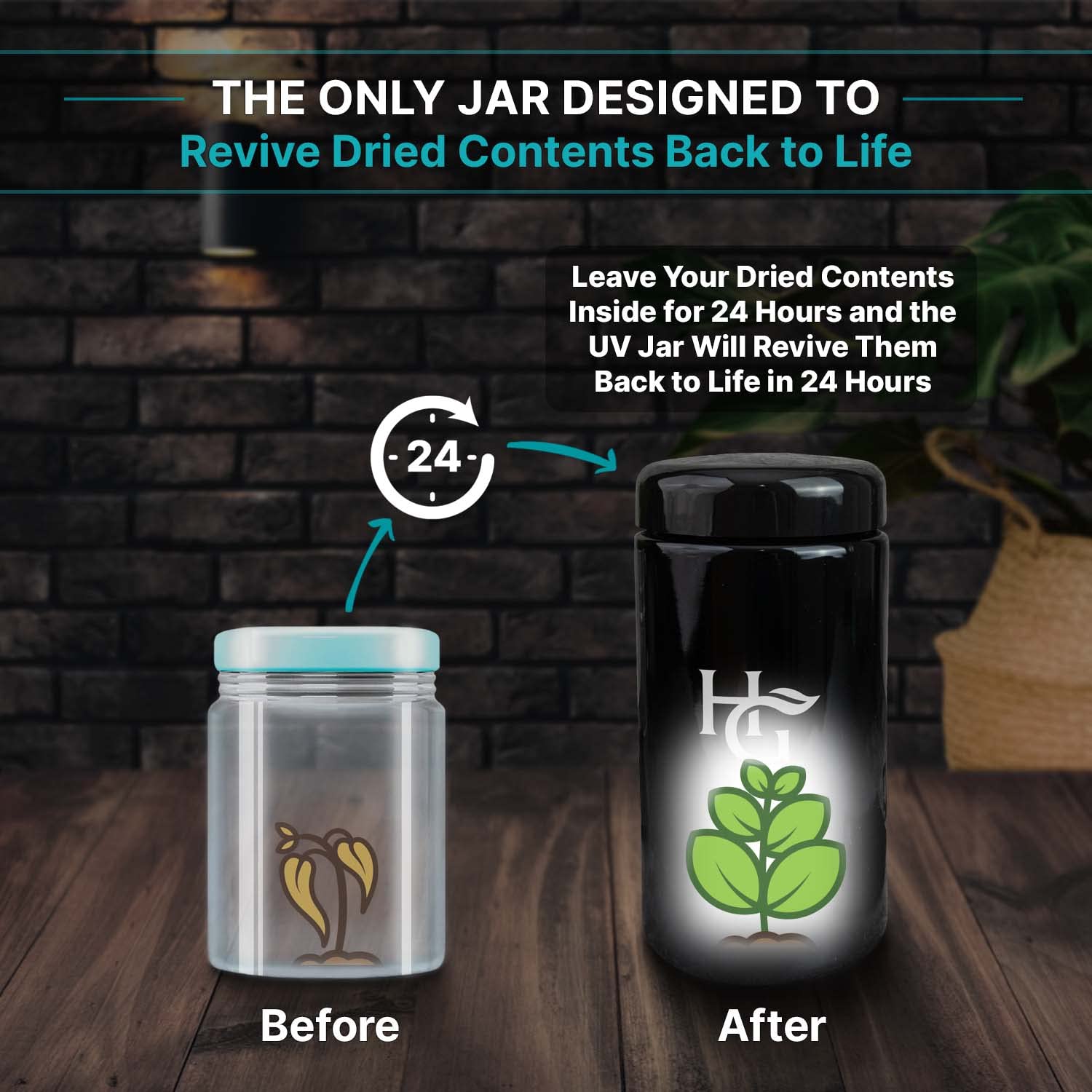 Herb Guard vidrio-resistente-a-caidas: tarro duradero para uso diario.