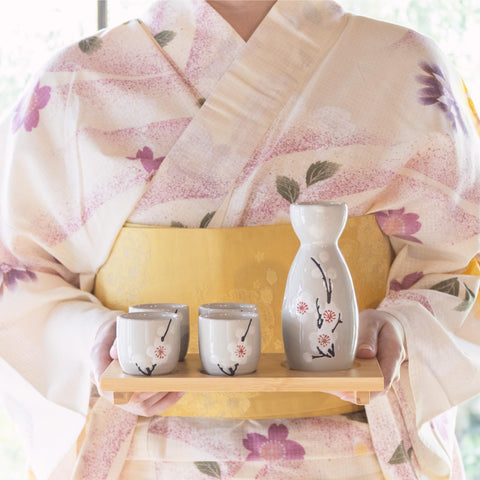 HIBINO conjunto para servir sake caliente y frío en casa