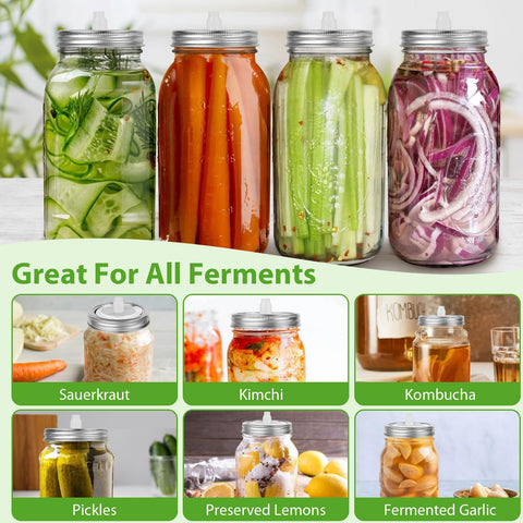 Kit de fermentación para principiantes Hiiozlam, listo para usar.