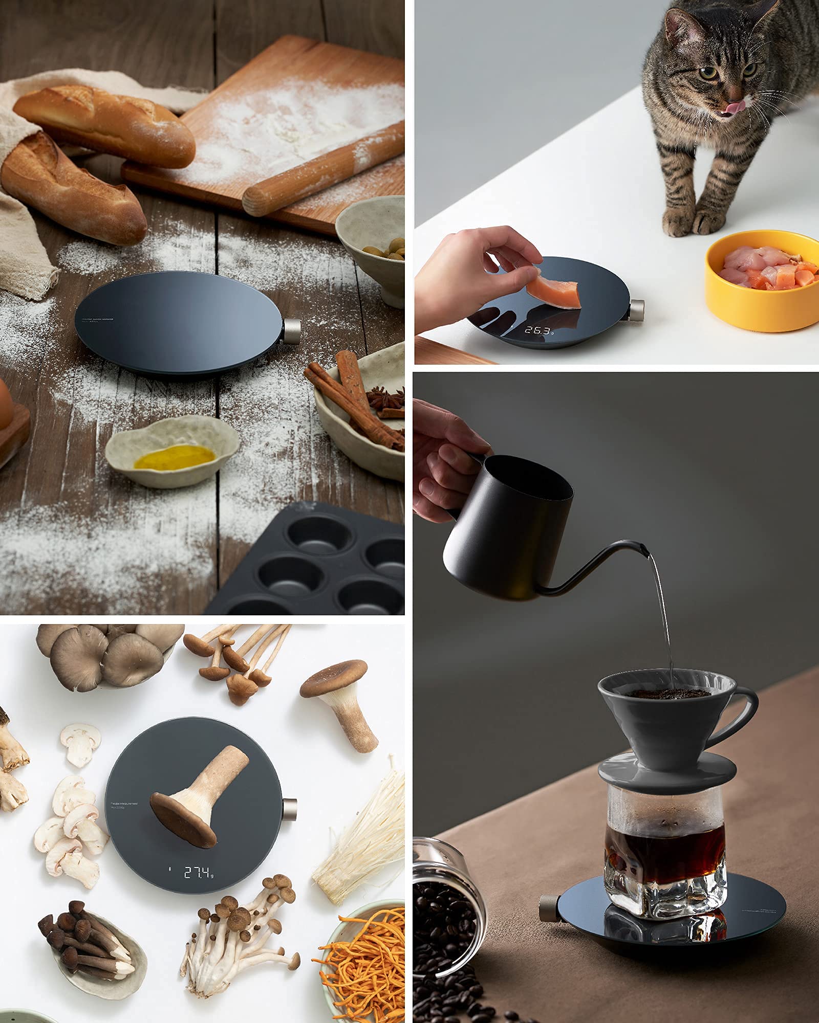 HOTO escala cocina facilita medir líquidos y sólidos con cuatro unidades.