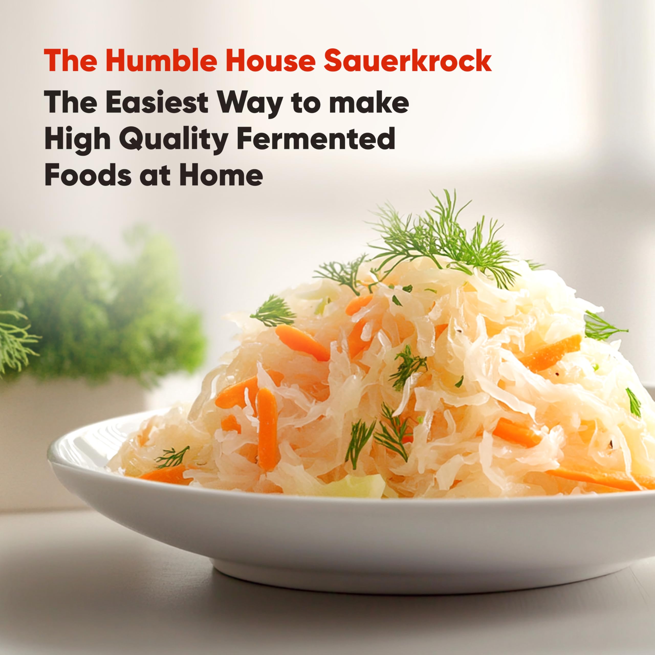 Pesas vidriadas cerámicas Humble House mantienen las verduras sumergidas durante la fermentación.