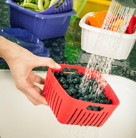 Hutzler Berry Keeper tapa transparente para ver el contenido