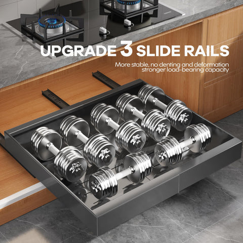 Seinloes 2 Pack Organizador Desplegable para Gabinete — 21