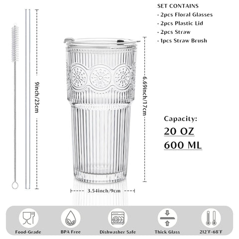 Vaso INSETLAN 20oz, cristal claro, tapa y pajilla para uso diario