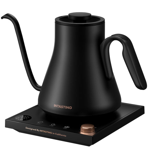INTASTING hervidor con pico de ganso preciso para vertido controlado en café