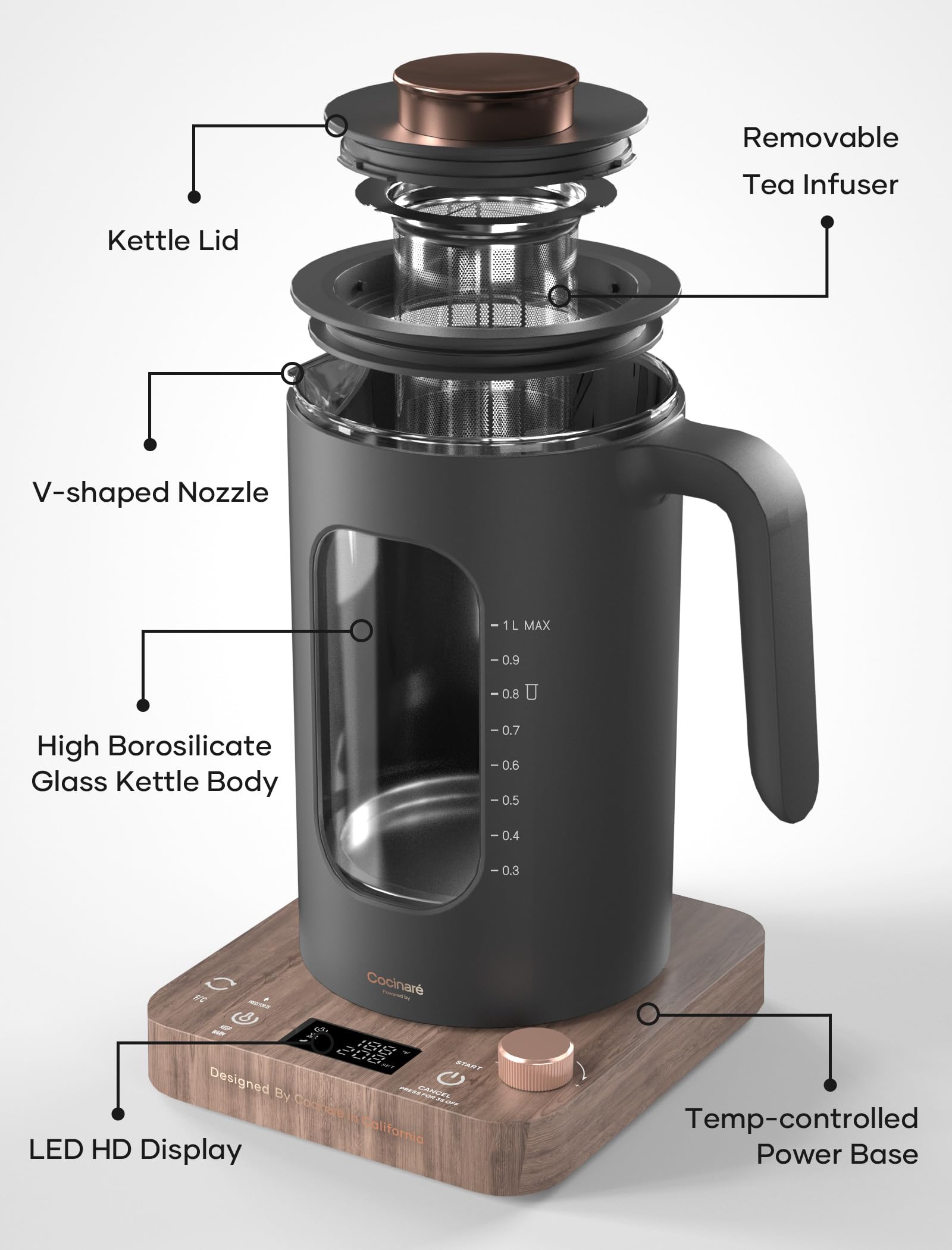 intasting hervidor con control preciso de temperatura para preparar tés perfectos